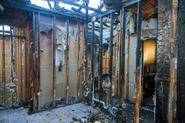 Professional Fire Damage Removal technician working in Elkridge, MD