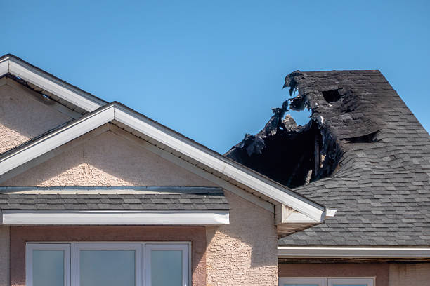 Top rated local Fire Damage Removal specialists in Elkridge, MD
